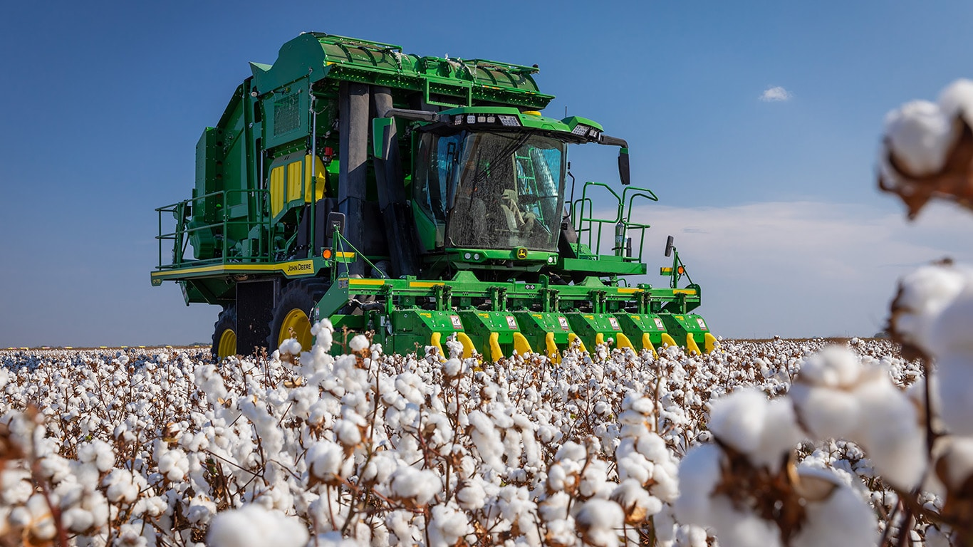 Modern cotton harvesting and scientific processing
